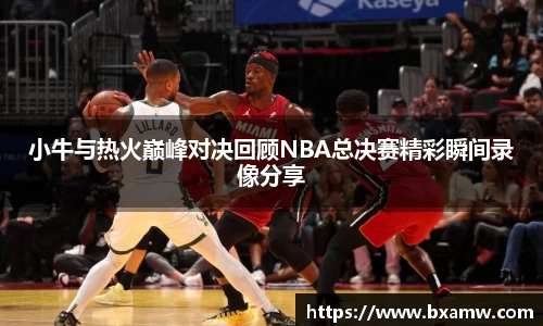 小牛与热火巅峰对决回顾NBA总决赛精彩瞬间录像分享